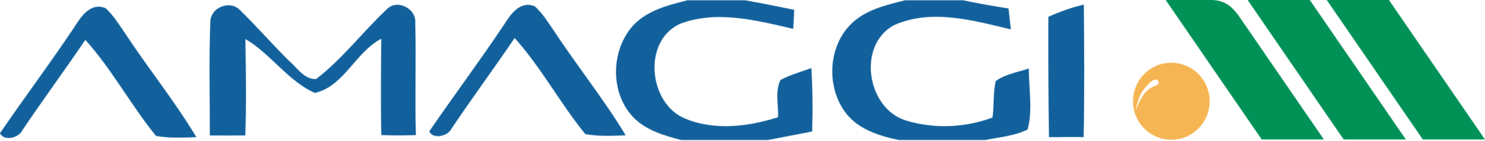 logo-amaggi